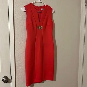 Calvin Klein Dress